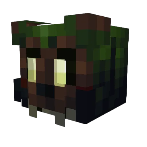 Tanglerboy Minecraft avatar head, 3D render
