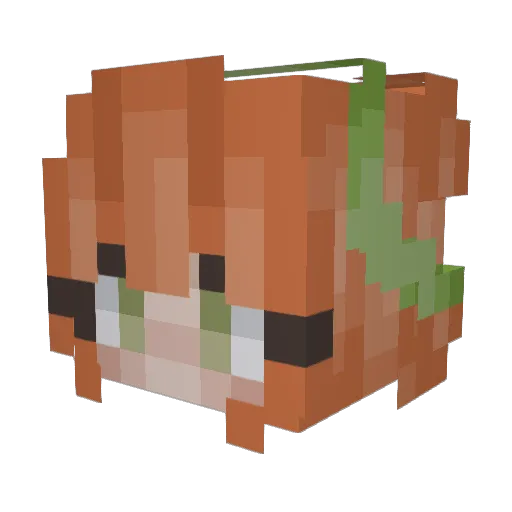 TangoMango298 Minecraft avatar head, 3D render