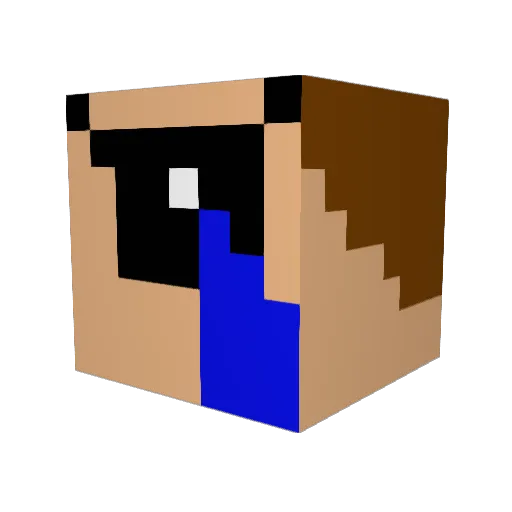 Tangolikebat6 Minecraft avatar head, 3D render