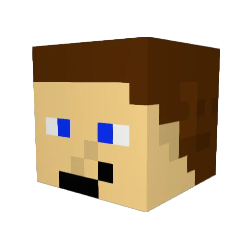 Tangosk8 Minecraft avatar head, 3D render