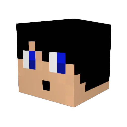 Tangster132 Minecraft avatar head, 3D render