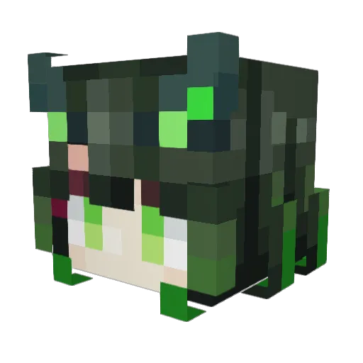 Tangtang200 Minecraft avatar head, 3D render