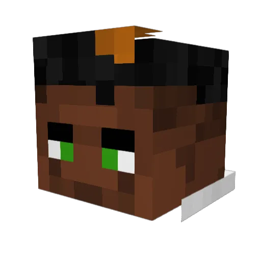TangyPineapplez Minecraft avatar head, 3D render