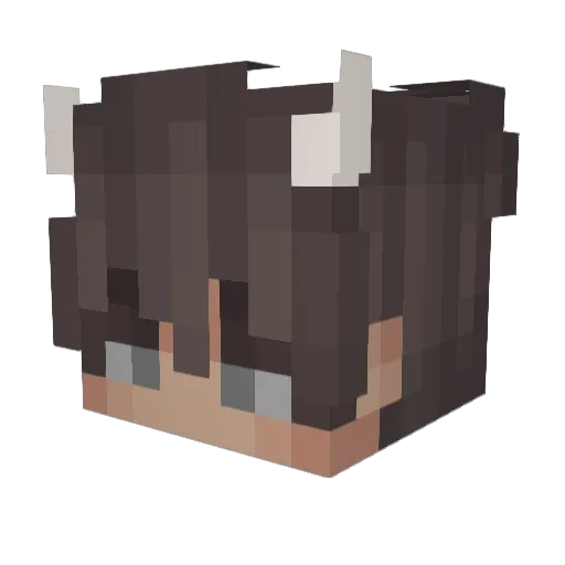Tangy_ttv Minecraft avatar head, 3D render