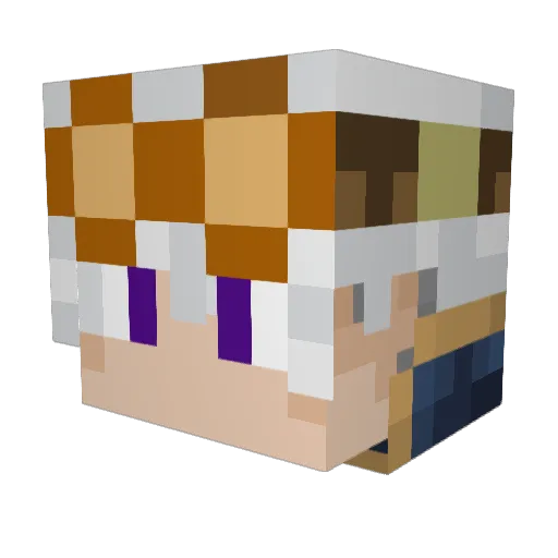 Tanhausen Minecraft avatar head, 3D render