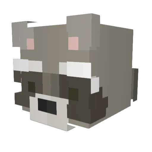 Tanho17 Minecraft avatar head, 3D render