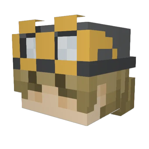 Tanhood Minecraft avatar head, 3D render