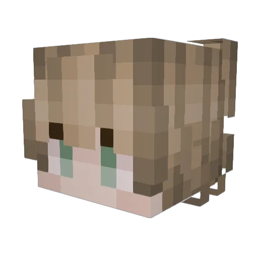 TaniaSalata Minecraft avatar head, 3D render