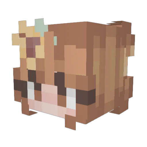 Tanihihi Minecraft avatar head, 3D render