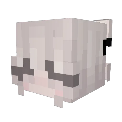 Tanixak Minecraft avatar head, 3D render