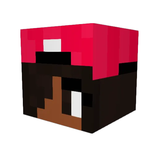 Tanjay Minecraft avatar head, 3D render