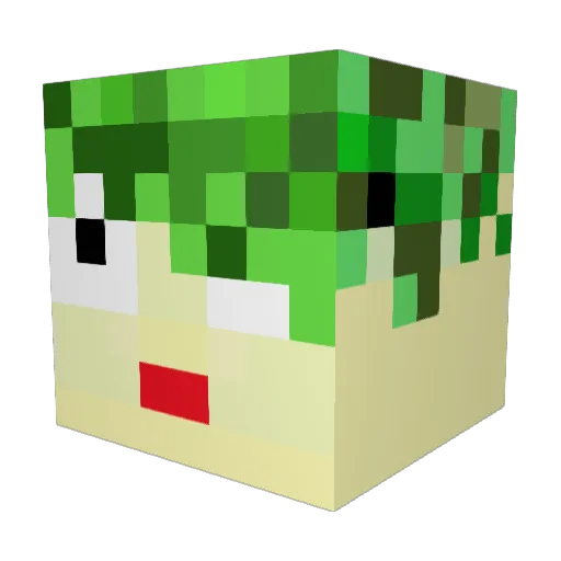 Tanjim Minecraft avatar head, 3D render
