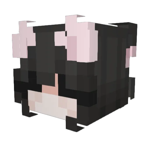 Tanjiro36 Minecraft avatar head, 3D render