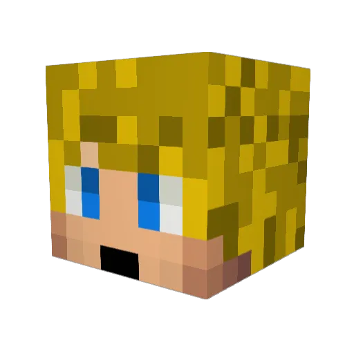 Tank2488 Minecraft avatar head, 3D render