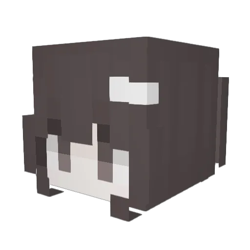 Tank8we Minecraft avatar head, 3D render