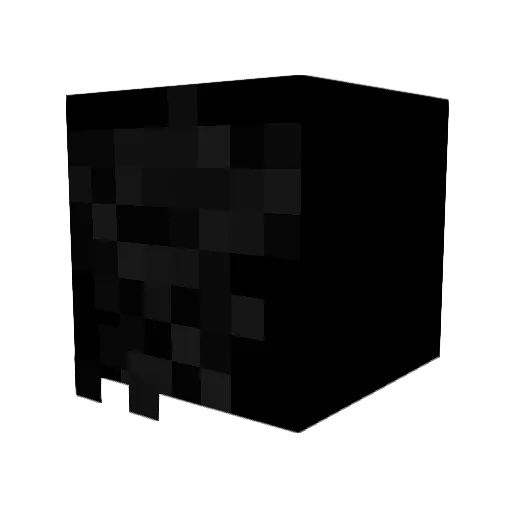 TankFish900 Minecraft avatar head, 3D render