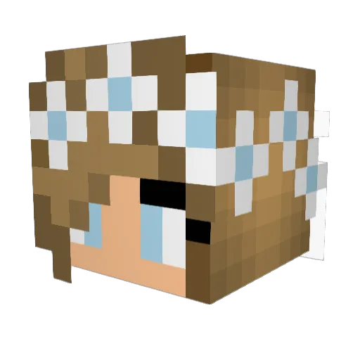 TankToFour Minecraft avatar head, 3D render