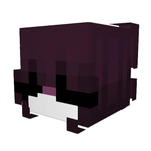 Tankerai Minecraft avatar head, 3D render