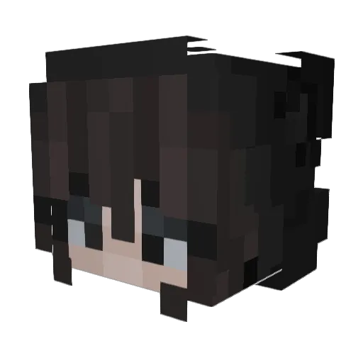 Tankerred_ Minecraft avatar head, 3D render