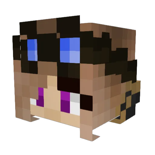 Tankerskunk Minecraft avatar head, 3D render