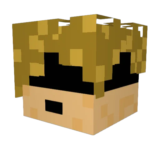 TanklessDude Minecraft avatar head, 3D render