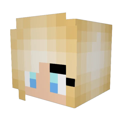 Tankonator1000 Minecraft avatar head, 3D render
