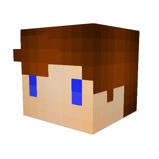Tankooi Minecraft avatar head, 3D render