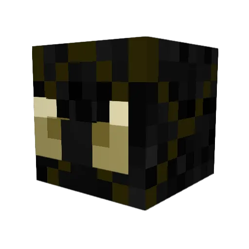 Tanksfn_ Minecraft avatar head, 3D render