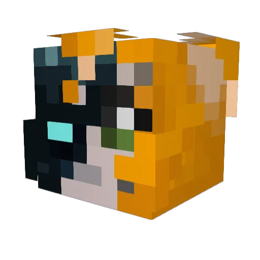 Tankyboy998 Minecraft avatar head, 3D render