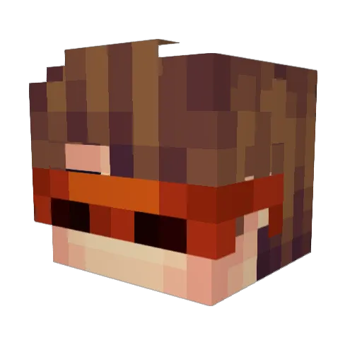 Tanlok17 Minecraft avatar head, 3D render