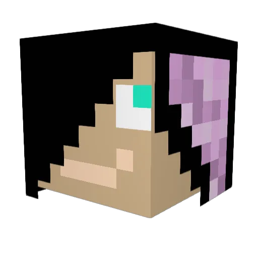 Tanman117s Minecraft avatar head, 3D render