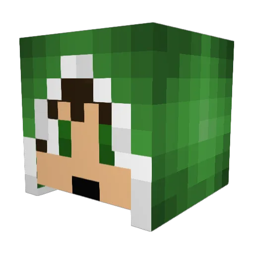 Tanman357 Minecraft avatar head, 3D render