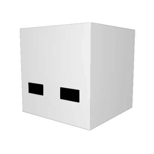 Tanman45673 Minecraft avatar head, 3D render