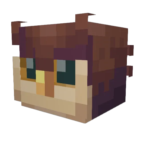 Tannavar Minecraft avatar head, 3D render