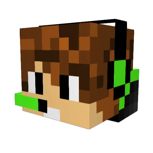 Tanne_6 Minecraft avatar head, 3D render