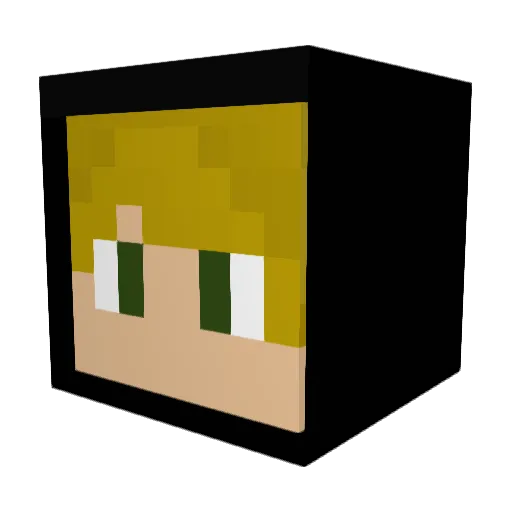 Tanneio Minecraft avatar head, 3D render