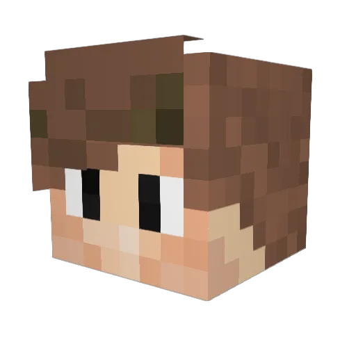 Tanner19 Minecraft avatar head, 3D render