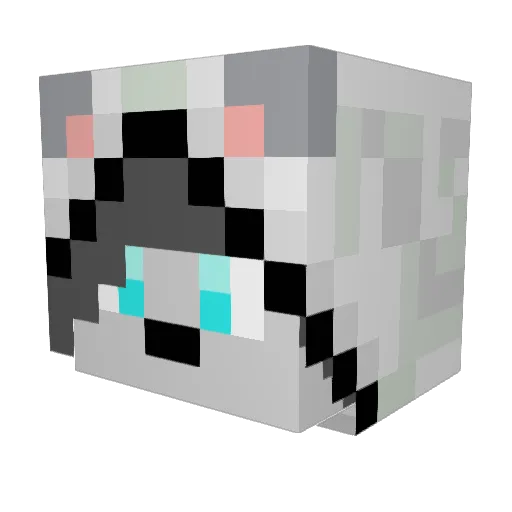 Tanner369 Minecraft avatar head, 3D render