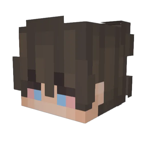 TannerGN Minecraft avatar head, 3D render