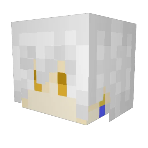 Tannerbomb08 Minecraft avatar head, 3D render