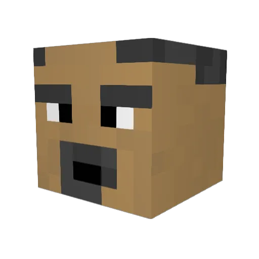 Tannercooks Minecraft avatar head, 3D render