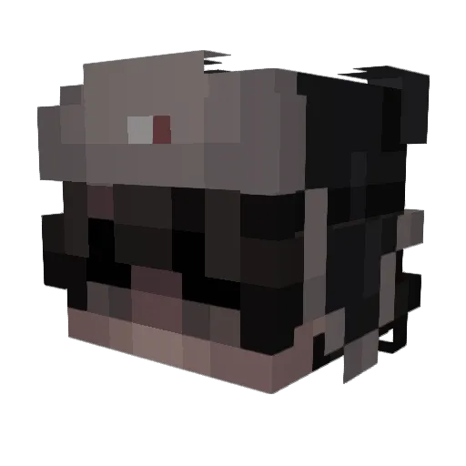 Tannir Minecraft avatar head, 3D render