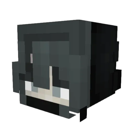 Tannv3rk Minecraft avatar head, 3D render