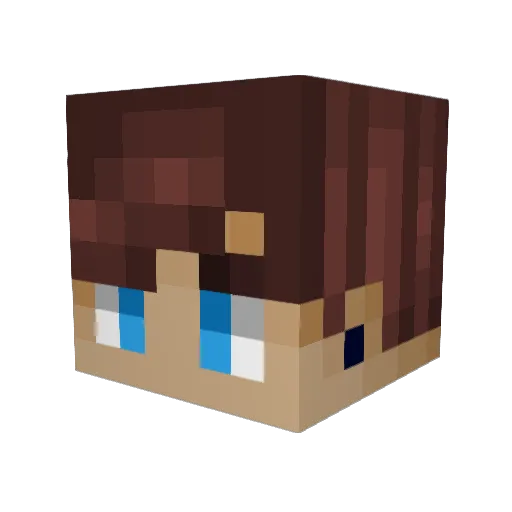 TanoSoVo Minecraft avatar head, 3D render