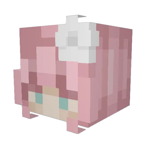 Tanogatosa Minecraft avatar head, 3D render