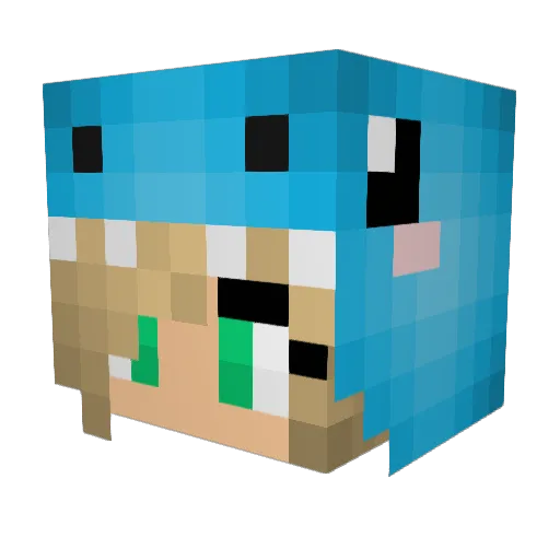 Tanos14 Minecraft avatar head, 3D render