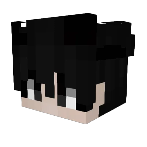 Tanos21 Minecraft avatar head, 3D render