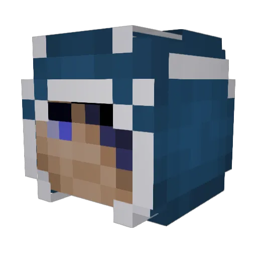 Tansansui Minecraft avatar head, 3D render