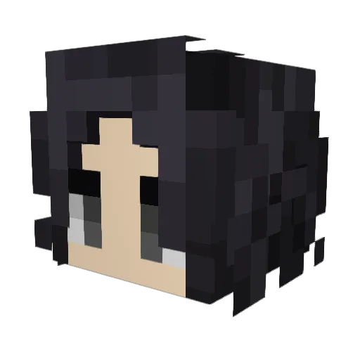 TansysAreTan Minecraft avatar head, 3D render
