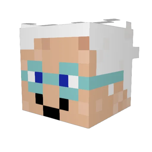 Tantnyman Minecraft avatar head, 3D render